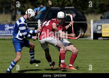 Newtonmore, Großbritannien. 30 Juli 2022. ::: Newtonmore Camanachd Club First Team spielt Kinlochshiel auf der Eilan in der Mowi Premiership. Kingussie (in weiß und blau) gegen Kinlochshiel. Endergebnis 2-2. MOWI Premiership Ligaspiel. Shinty, oder „Camanachd“ in Schottland, ist ein Spiel, das nur in den Highlands zwischen Teams gespielt wird, die Dörfer und Städte repräsentieren. Das Spiel ist älter als die aufgezeichnete Geschichte Schottlands und wird auf einem Rasen mit einem kleinen Ball und Stöcken (genannt Caman) gespielt. . Kredit: Rob Gray/Alamy Live Nachrichten Stockfoto