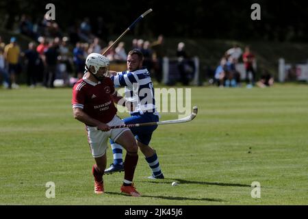 Newtonmore, Großbritannien. 30 Juli 2022. Newtonmore Camanachd Club First Team spielt Kinlochshiel auf der Eilan in der Mowi Premiership. Kingussie (in weiß und blau) gegen Kinlochshiel. Endergebnis 2-2. MOWI Premiership Ligaspiel. Shinty, oder „Camanachd“ in Schottland, ist ein Spiel, das nur in den Highlands zwischen Teams gespielt wird, die Dörfer und Städte repräsentieren. Das Spiel ist älter als die aufgezeichnete Geschichte Schottlands und wird auf einem Rasen mit einem kleinen Ball und Stöcken (genannt Caman) gespielt. . Kredit: Rob Gray/Alamy Live Nachrichten Stockfoto