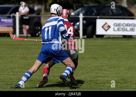Newtonmore, Großbritannien. 30 Juli 2022. ::: Newtonmore Camanachd Club First Team spielt Kinlochshiel auf der Eilan in der Mowi Premiership. Kingussie (in weiß und blau) gegen Kinlochshiel. Endergebnis 2-2. MOWI Premiership Ligaspiel. Shinty, oder „Camanachd“ in Schottland, ist ein Spiel, das nur in den Highlands zwischen Teams gespielt wird, die Dörfer und Städte repräsentieren. Das Spiel ist älter als die aufgezeichnete Geschichte Schottlands und wird auf einem Rasen mit einem kleinen Ball und Stöcken (genannt Caman) gespielt. . Kredit: Rob Gray/Alamy Live Nachrichten Stockfoto