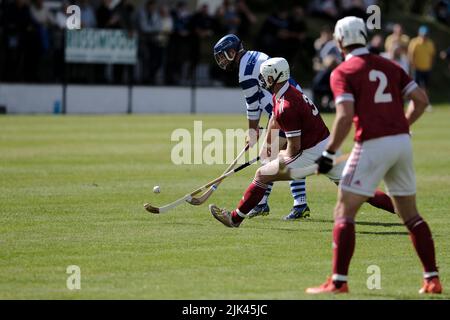 Newtonmore, Großbritannien. 30 Juli 2022. Newtonmore Camanachd Club First Team spielt Kinlochshiel auf der Eilan in der Mowi Premiership. Kingussie (in weiß und blau) gegen Kinlochshiel. Endergebnis 2-2. MOWI Premiership Ligaspiel. Shinty, oder „Camanachd“ in Schottland, ist ein Spiel, das nur in den Highlands zwischen Teams gespielt wird, die Dörfer und Städte repräsentieren. Das Spiel ist älter als die aufgezeichnete Geschichte Schottlands und wird auf einem Rasen mit einem kleinen Ball und Stöcken (genannt Caman) gespielt. . Kredit: Rob Gray/Alamy Live Nachrichten Stockfoto