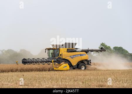 Kombinieren Sie die Ernte in Hasketon, Suffolk Stockfoto