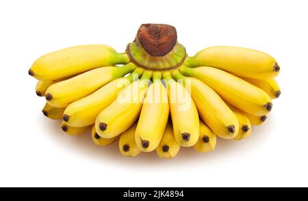 Baby Banane Pfad isoliert auf weiß Stockfoto