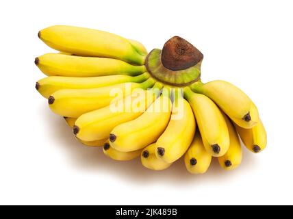 Baby Banane Pfad isoliert auf weiß Stockfoto