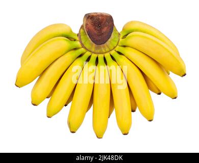 Baby Banane Pfad isoliert auf weißer Draufsicht Stockfoto