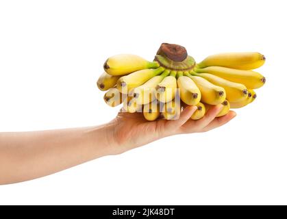 Babybanane in Handweg isoliert auf weiß Stockfoto