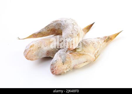 Frisch gefrorener Stachelfisch. Schwarzmeerwürfel mit Eis an der Oberfläche. Frischer Fisch im Frost. Isoliert. Stockfoto