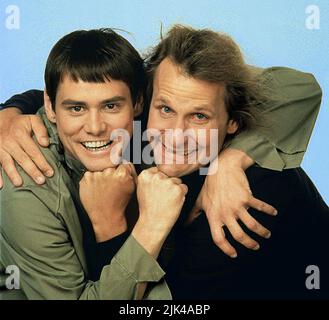 CARREY, Daniels, Dumm und Dümmer, 1994 Stockfoto