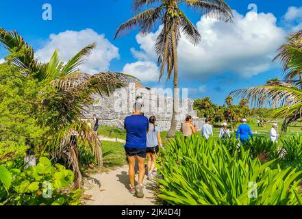 Tulum Mexico 22. Juni 2022 Antike Ruinen von Tulum Maya-Stätte mit Tempelruinen Pyramiden und Artefakte im tropischen Naturdschungel Wald Palmen und Meere Stockfoto