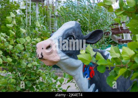 Eine mehrfarbige Kuh steht auf dem Rasen Stockfoto