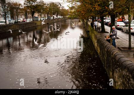 Westport Mall Promenade am Ufer des Carrowbeg River in Westport, Irland. Stockfoto