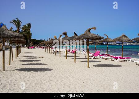 Liegen und Sonnenschirm am Muro Strand, Alcúdia Bucht auf Mallorca Stockfoto