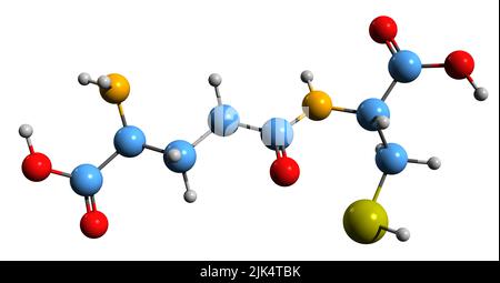 3D Bild der Skelettformel Gamma-L-Glutamyl-L-Cystein - molekularchemische Struktur des auf weißem Hintergrund isolierten Metaboliten Stockfoto