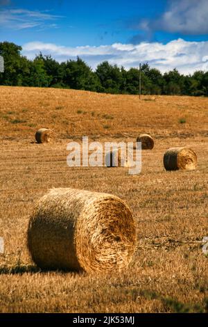 Heuballen im Sommer im Val d'Orcia, ländliche Toskana in der Nähe von Siena. Stockfoto