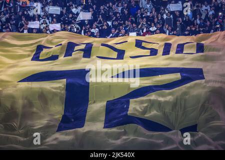 Sao Paulo, Brasilien. 30.. Juli 2022. SP - Sao Paulo - 07/30/2022 - BRASILIANISCHER A 2022, CORINTHIANS X BOTAFOGO - Supporters während eines Spiels zwischen Corinthians und Botafogo im Arena Corinthians Stadion für die brasilianische Meisterschaft A 2022. Foto: Marcello Zambrana/AGIF/Sipa USA Quelle: SIPA USA/Alamy Live News Stockfoto