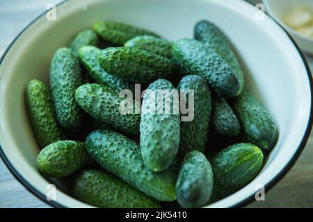 Der Prozess der Konservierung eingelegter Gurken für den Winter. Gewaschene Gurken werden in einem Behälter zubereitet. Stockfoto