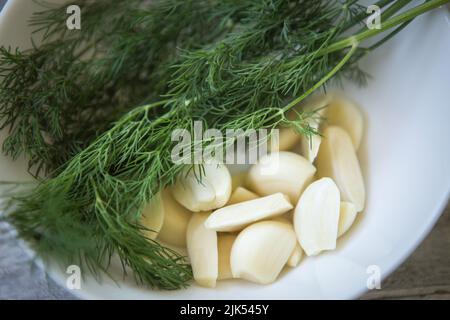 Ein Bund frischer grüner Dill und geschälte Knoblauchzehen auf einem weißen Teller in Nahaufnahme. Selektiver Fokus. Stockfoto