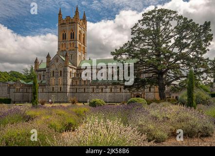 Die Buckfast Abbey in der Nähe von Buckfastleigh am Rande des Dartmoor National Park beherbergt eine Gemeinschaft römisch-katholischer Benediktinermönche. Die Abteikirche Stockfoto