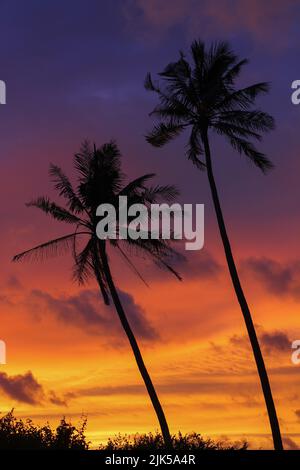 Zwei Kokospalmen umragten den spektakulären Sonnenuntergang am tropischen Strand Stockfoto