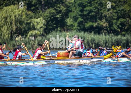 Queens, New York, USA. 30.. Juli 2022. Nach einer 2-jährigen Pause begann das Hong Kong Dragon Festival in NY (HKDBF NY) am Meadow Lake in Flushing Meadows Corona Park, Queens. Die zweitägige Veranstaltung feiert den 30.. Jahrestag der Veranstaltung sowie das Jahr des Tigers. (Bild: © Bianca Otero/ZUMA Press Wire) Stockfoto