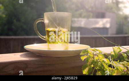 Heißes Wasser mit einem Teebeutel in eine Glastasse gießen. Stockfoto