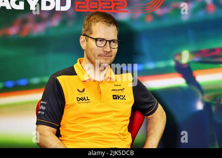 Budapest, Ungarn. 30.. Juli 2022. Andreas Seidl (DEU, McLaren F1 Team), F1 Grand Prix von Ungarn beim Hungaroring am 30. Juli 2022 in Budapest, Ungarn. (Foto von DPPI via HIGH TWO) Quelle: dpa/Alamy Live News Stockfoto