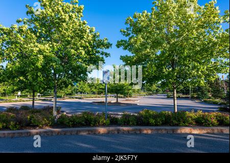 Umweltfreundlicher, von Bäumen gesäumter Parkplatz Stockfoto