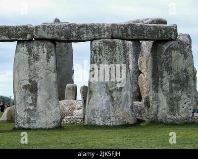 Ein Vogel, der auf einem Stein auf dem alten prähistorischen Monument Stonehenge in der Nähe von Amesbury in Wiltshire, England, Großbritannien, thront, das heute zum UNESCO-Weltkulturerbe gehört. Stockfoto