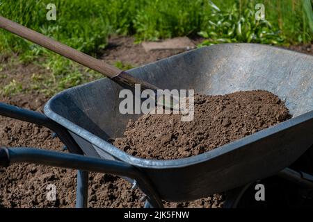 Schaufel und Schubkarre im Garten. Gartenarbeit Stockfoto