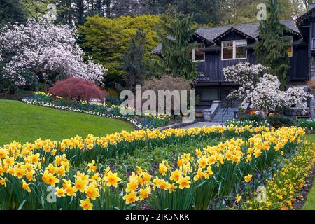 Blühende Frühlingsgärten im Stanley Park, Vancouver, British Columbia, Kanada. Stockfoto