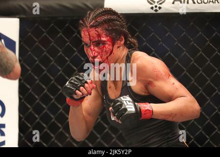 Dallas, Texas, Dallas, TX, USA. 30.. Juli 2022. DALLAS, TX - JULI 30: Julianna PeÃ±A kämpft gegen Amanda Nunes in ihrem Women Bantamweight Kampf während des UFC 277 Events im American Airlines Center am 30. Juli 2022 in Dallas, Texas, USA. (Bild: © Alejandro Salazar/PX Imagens via ZUMA Press Wire) Stockfoto