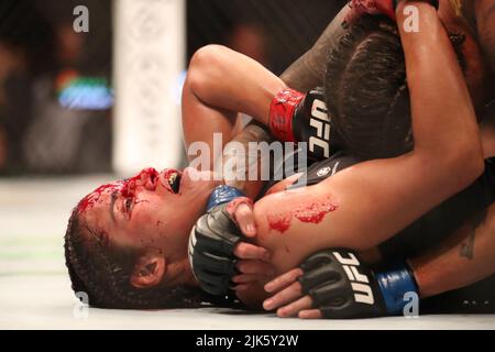 DALLAS, TX - 30. JULI: Julianna Peña kämpft gegen Amanda Nunes in ihrem Women Bantamweight Kampf während des UFC 277 Events im American Airlines Center am 30. Juli 2022 in Dallas, Texas, USA. (Foto von Alejandro Salazar/PxImages) Credit: Px Images/Alamy Live News Stockfoto