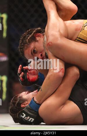 DALLAS, TX - 30. JULI: Amanda Nunes (TOP) kämpft gegen Julianna Peña in ihrem Women Bantamweight Kampf während des UFC 277 Events im American Airlines Center am 30. Juli 2022 in Dallas, Texas, USA. (Foto von Alejandro Salazar/PxImages) Credit: Px Images/Alamy Live News Stockfoto