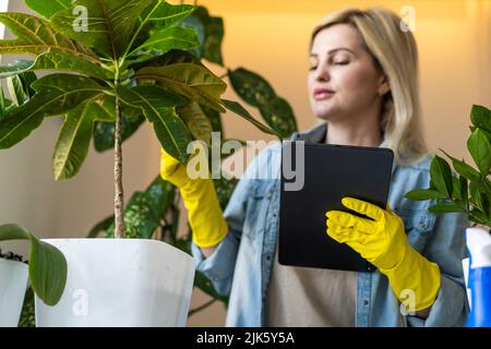 Frau, die einen digitalen Tablet-pc für Blumentöpfe in Innenräumen verwendet Stockfoto