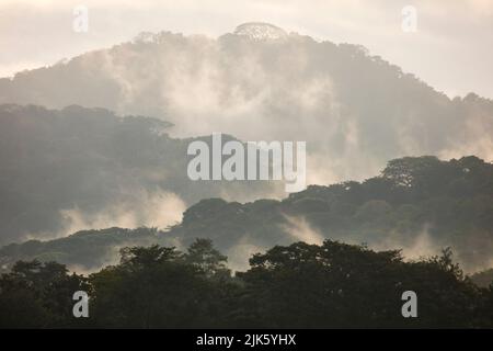 Panamalandschaft mit feuchtem und nebligen Regenwald bei Sonnenaufgang im Soberania-Nationalpark, Republik Panama, Mittelamerika. Stockfoto