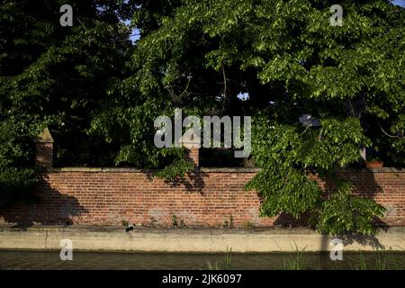 Backsteinmauer mit Pappeln dahinter neben einem Wasserbach an einem sonnigen Tag in der italienischen Landschaft Stockfoto