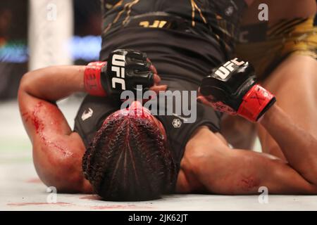 Dallas, Texas, Dallas, TX, USA. 30.. Juli 2022. DALLAS, TX - JULI 30: Julianna PeÃ±A kämpft gegen Amanda Nunes in ihrem Women Bantamweight Kampf während des UFC 277 Events im American Airlines Center am 30. Juli 2022 in Dallas, Texas, USA. (Bild: © Alejandro Salazar/PX Imagens via ZUMA Press Wire) Stockfoto