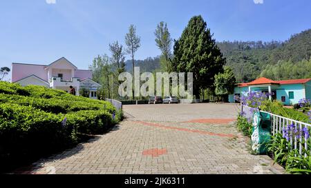 Wunderschöne Landschaften des Teeparks der Regierung, ooty. Die beste landschaftliche Lage in Ooty. Stockfoto