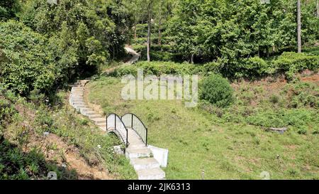 Wunderschöne Landschaften des Teeparks der Regierung, ooty. Die beste landschaftliche Lage in Ooty. Stockfoto