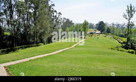 Wunderschöne Landschaften des Teeparks der Regierung, ooty. Die beste landschaftliche Lage in Ooty. Stockfoto