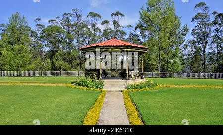 Wunderschöne Landschaften des Teeparks der Regierung, ooty. Die beste landschaftliche Lage in Ooty. Stockfoto