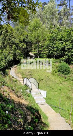 Wunderschöne Landschaften des Teeparks der Regierung, ooty. Die beste landschaftliche Lage in Ooty. Stockfoto