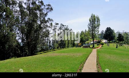 Wunderschöne Landschaften des Teeparks der Regierung, ooty. Die beste landschaftliche Lage in Ooty. Stockfoto