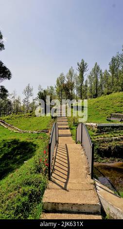 Wunderschöne Landschaften des Teeparks der Regierung, ooty. Die beste landschaftliche Lage in Ooty. Stockfoto