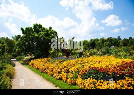 botanischer Garten in münchen, blauer Himmel, Landschaft Stockfoto