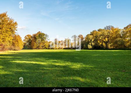 Wiese mit bunten Bäumen rund während schönen Herbsttag in CHKO Poodri in der Nähe von Ostrava Stadt in der Tschechischen republik Stockfoto