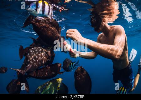 Freitaucher Mann mit Essen in der Flasche füttert Schule von Fisch im Ozean Stockfoto