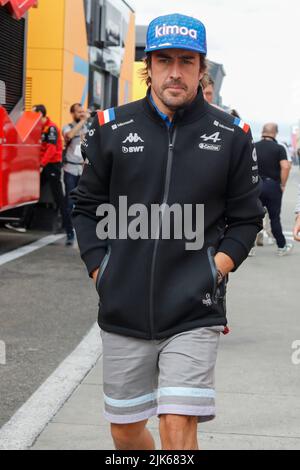 Magyorod, Ungarn. Juli 31. 2022. Formel 1 großer Preis von Ungarn in Hungaroring, Ungarn. Im Bild: Fernando Alonso (SPA) von Alpine © Piotr Zajac/Alamy Live News Stockfoto
