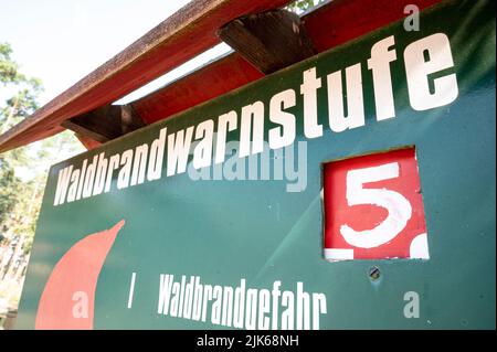 Klaistow, Deutschland. 31.. Juli 2022. Ein Schild vor einem Wald weist auf die höchste Warnstufe für Waldbrände fünf hin. In Brandenburg wurde kürzlich eine Gesamtfläche von 400 Hektar verbrannt – das entspricht etwa 600 Fußballfeldern. Quelle: Fabian Sommer/dpa/ZB/dpa/Alamy Live News Stockfoto