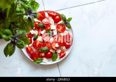 Caprese-Salat, serviert auf einem Teller unter einer Basilikumpflanze, Draufsicht Stockfoto