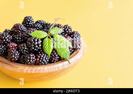 Eine Holzschale aus frisch gepflückten, wilden Brombeeren, Rubus fruticosus. Auf den saftig schwarzen Früchten des ländlichen Raums wurde ein Brambleaf präsentiert Stockfoto